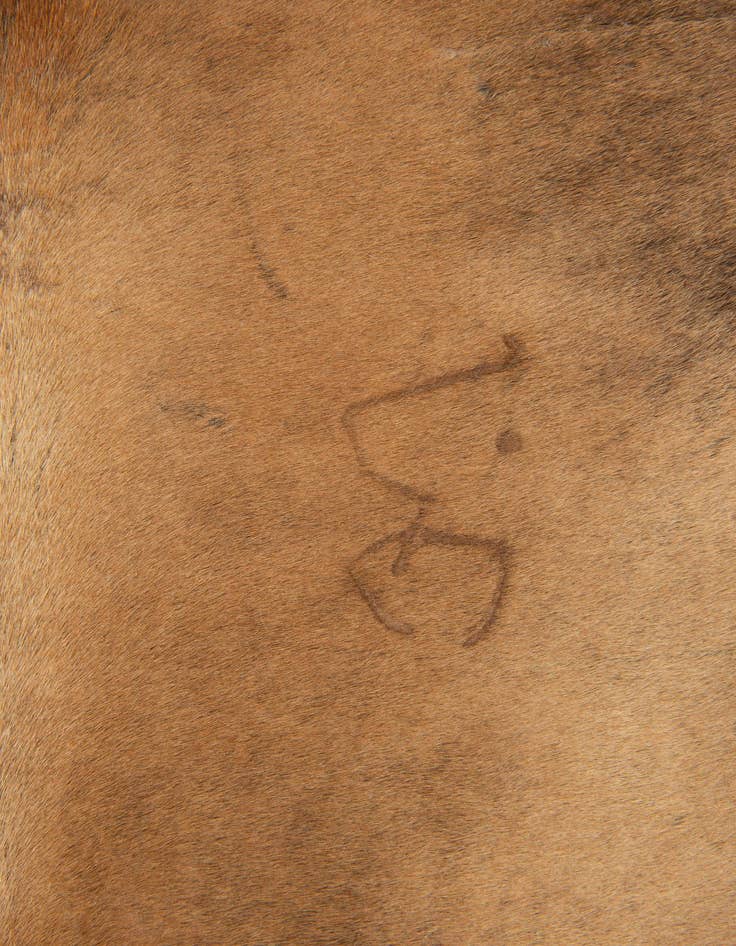 Detail image of 6' 2 x 6' 6 Cowhide Leather Square Rug