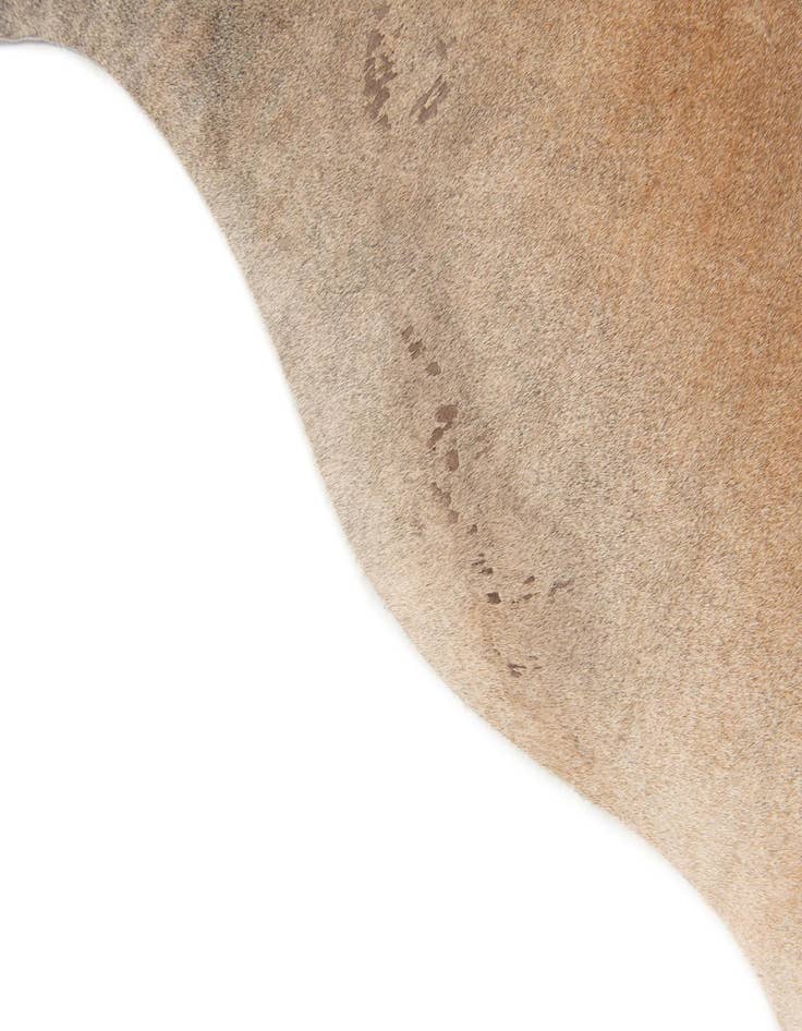 Detail image of 5' 2 x 5' 6 Cowhide Leather Square Rug