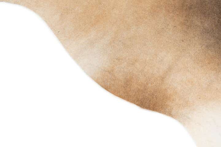 4' 4 x 4' 9 Cowhide Leather Square Rug