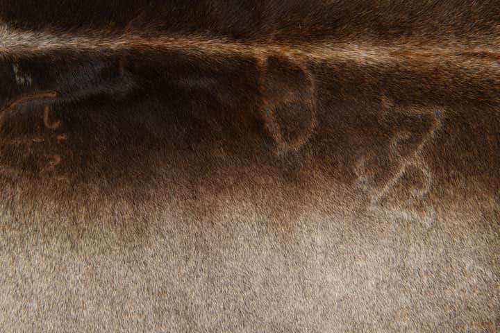 5' 8 x 6' 2 Cowhide Leather Square Rug