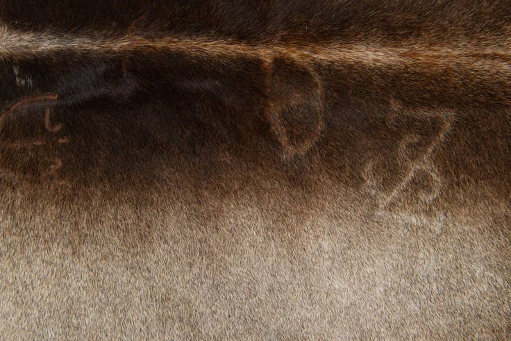 Detail image of 5' 8 x 6' 2 Cowhide Leather Square Rug