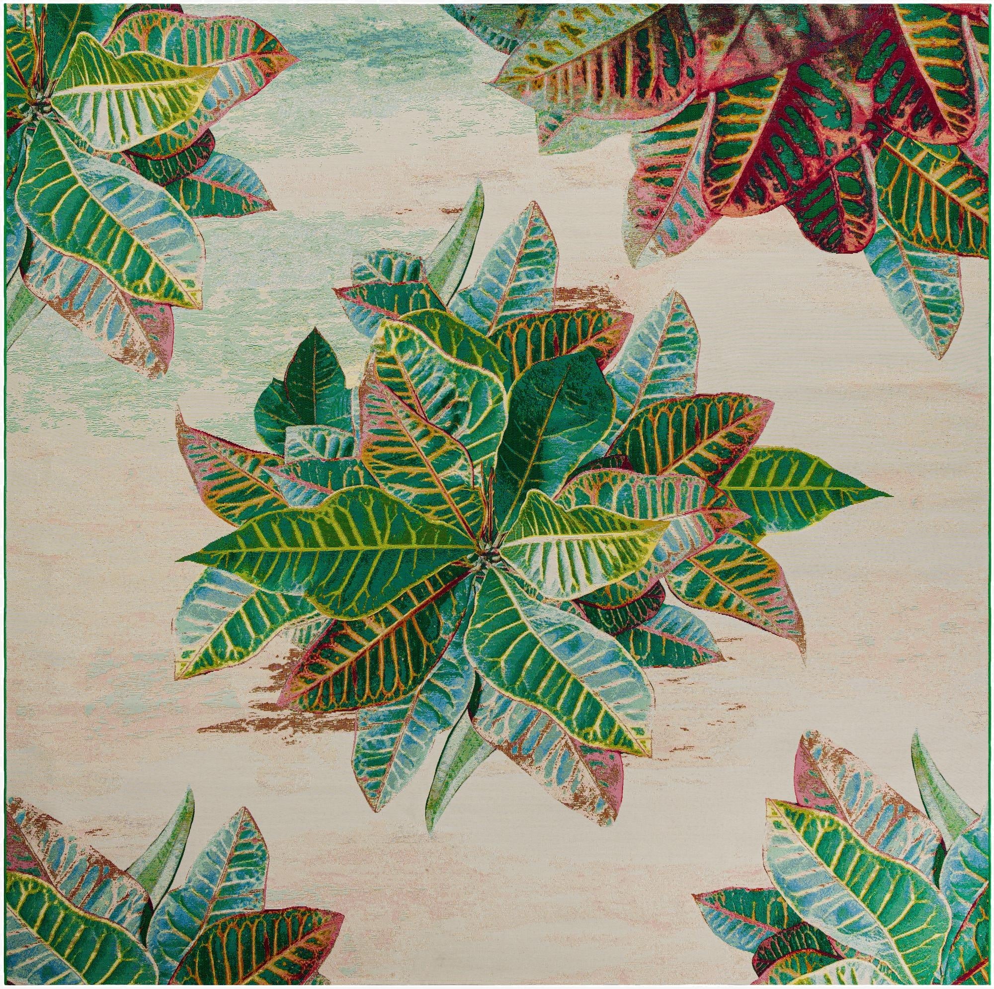 12' x 12'  Washable Botanical Indoor / Outdoor Square Rug