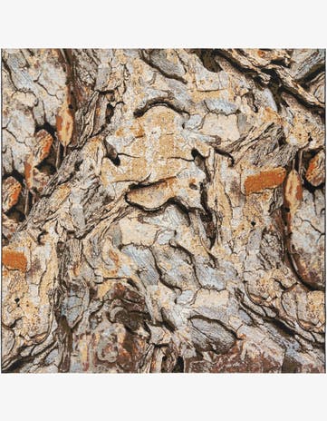 Easy-Clean Modern Indoor / Outdoor Square Rug