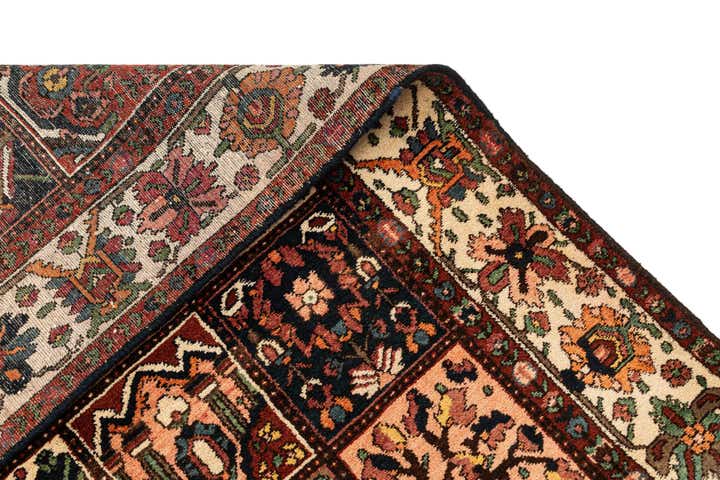 5' 3 x 10' 3 Bachtiar Rug