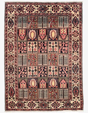 4' 11 x 6' 11 Bachtiar Rug