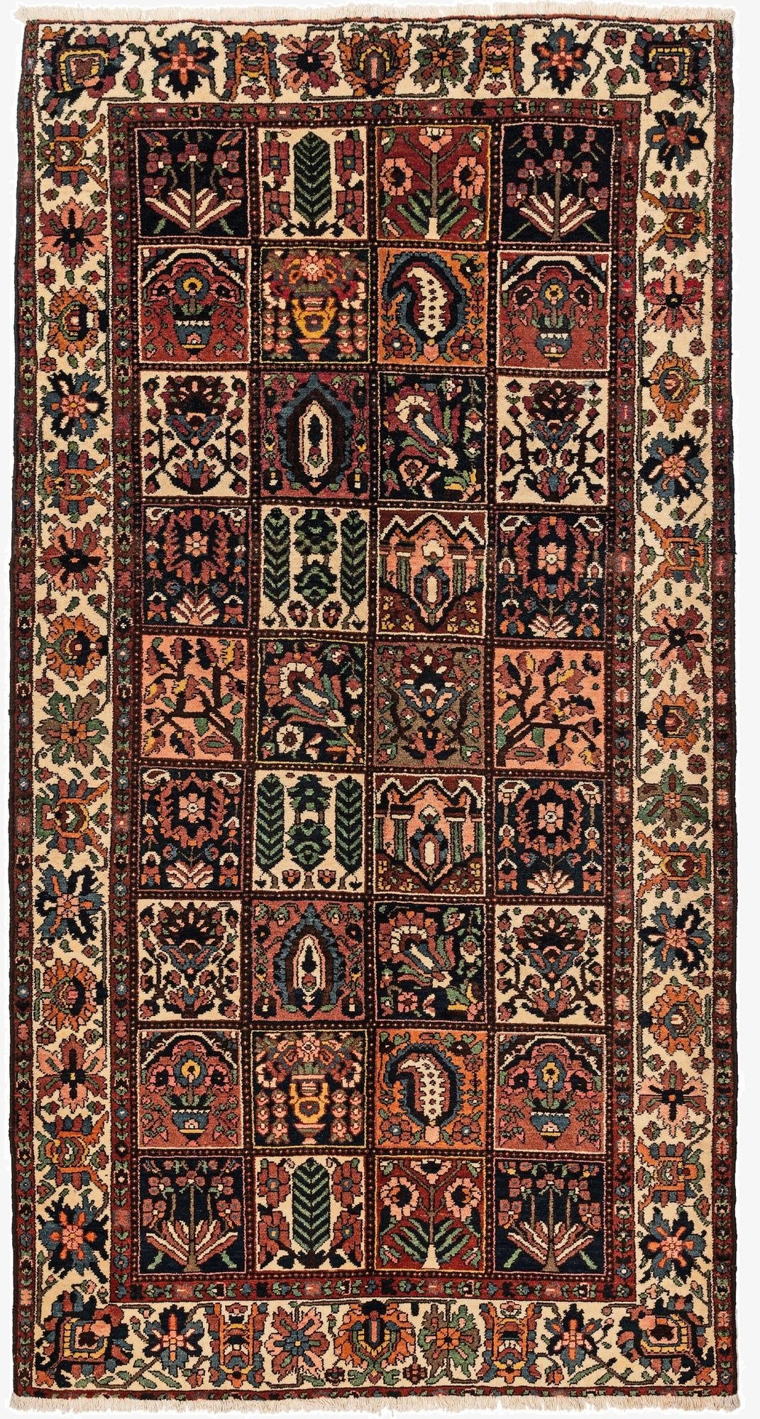 5' 3 x 10' 3 Bachtiar Rug