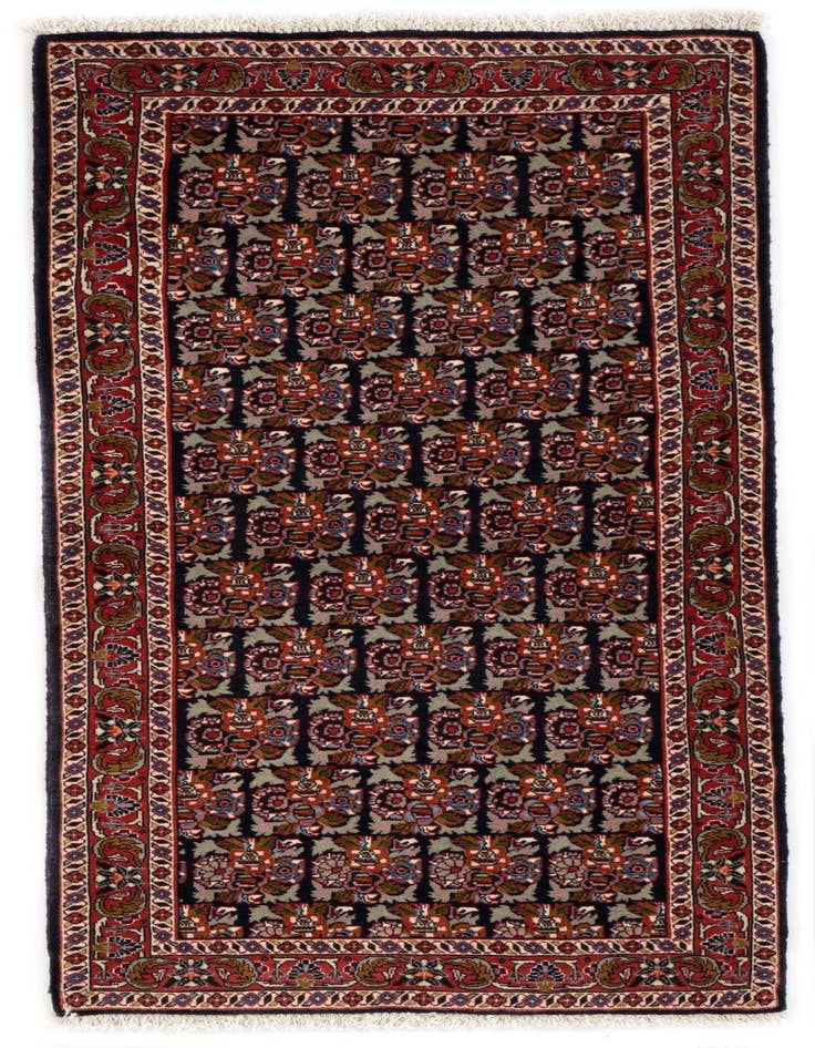 Detail image of 2' 2 x 4' 11 Bidjar Runner Rug