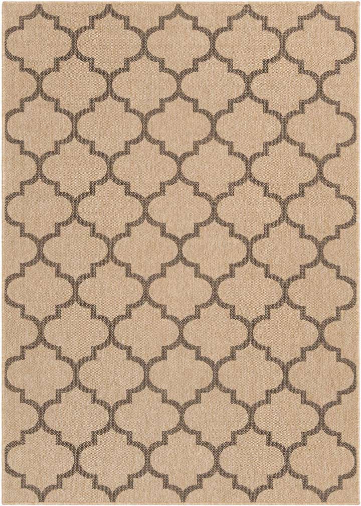 5' 5 x 8' Dunes Rug