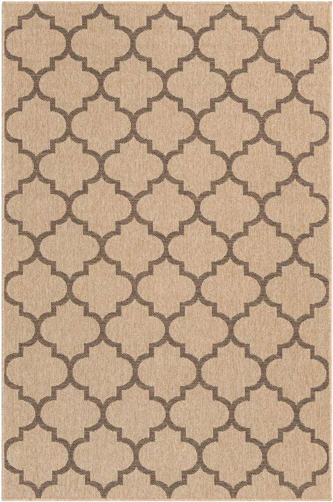 5' 5 x 8' Dunes Rug