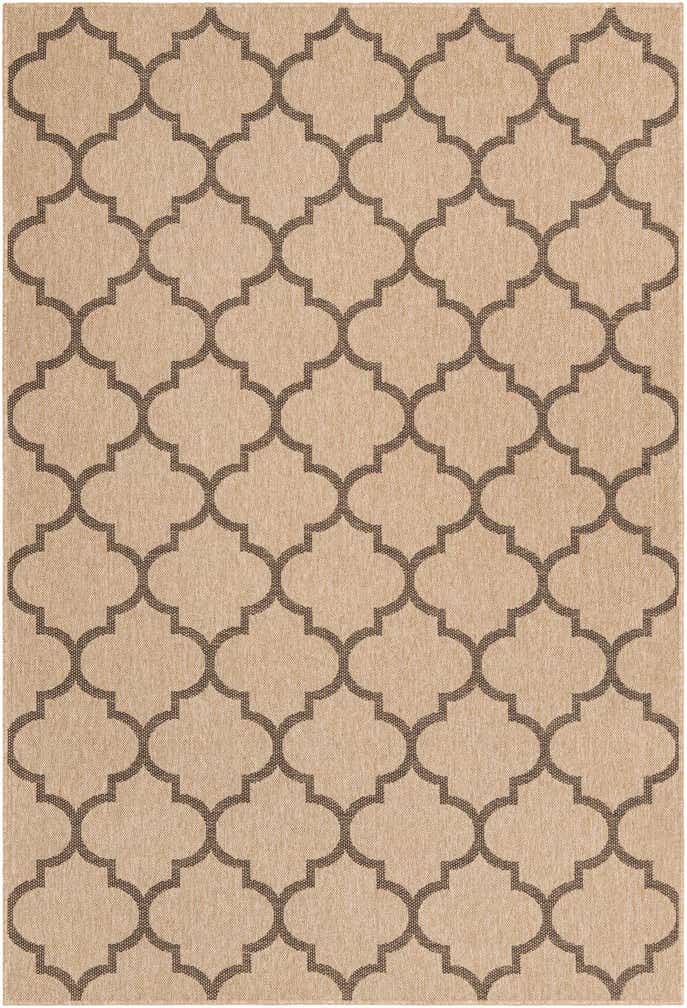 6' 3 x 9' Dunes Rug