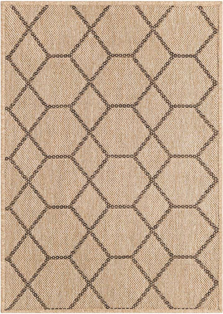 2' 2 x 3' Dunes Rug