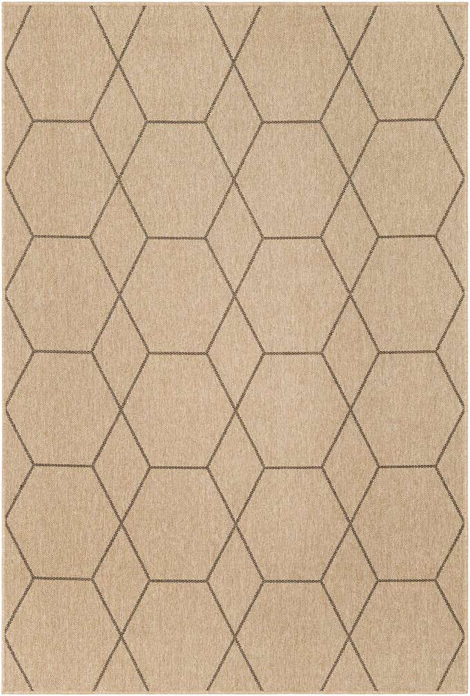 6' 3 x 9' Dunes Rug