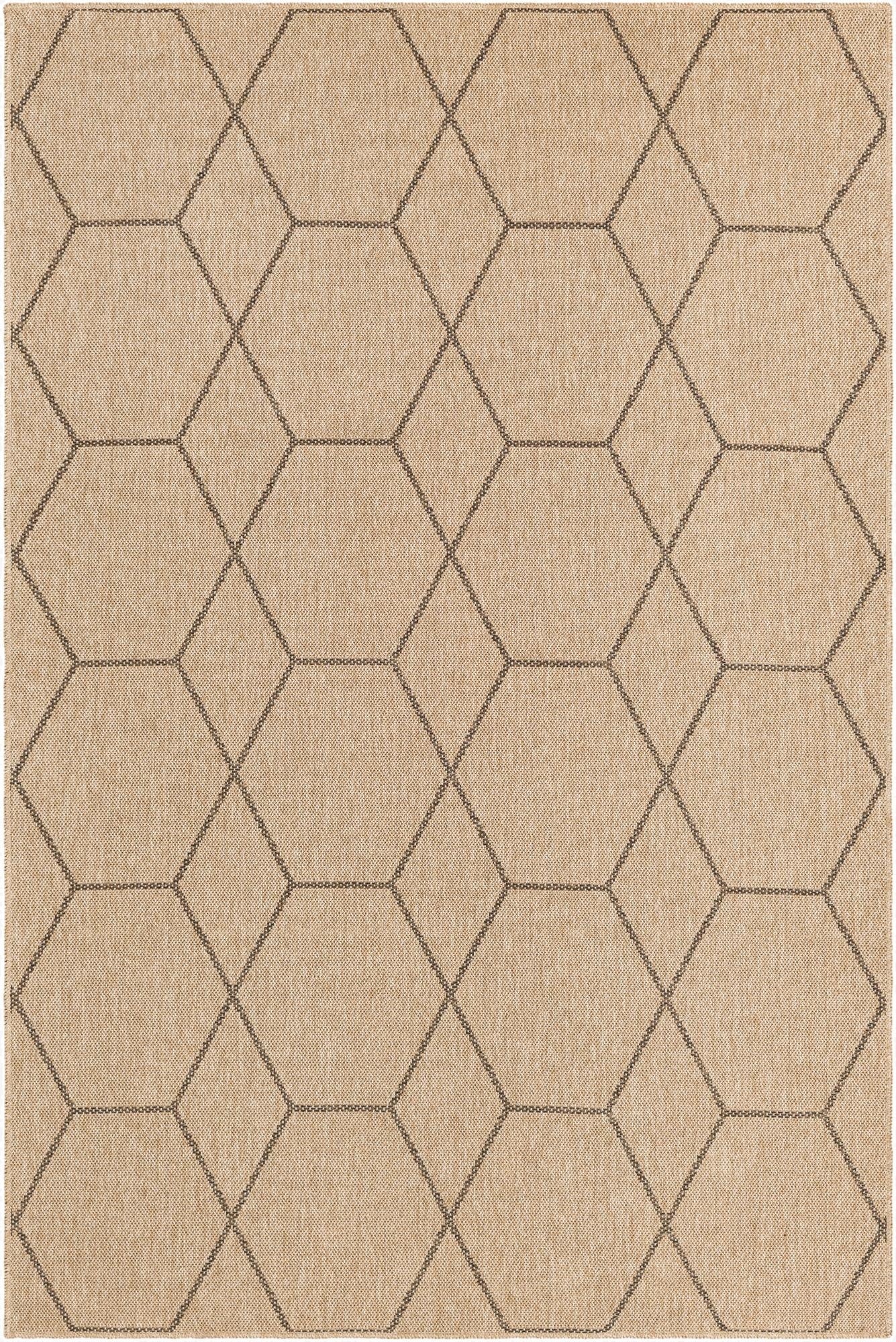 5' 5 x 8' Dunes Rug