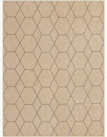 9' x 12' Dunes Rug