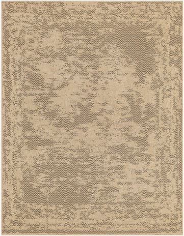 8' x 10' Dunes Rug