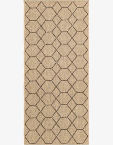 2' 9 x 6' Dunes Runner Rug