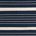 Rug Navy and White Swatch link