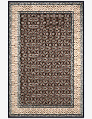 5' 3 x 8' Nain Design Rug