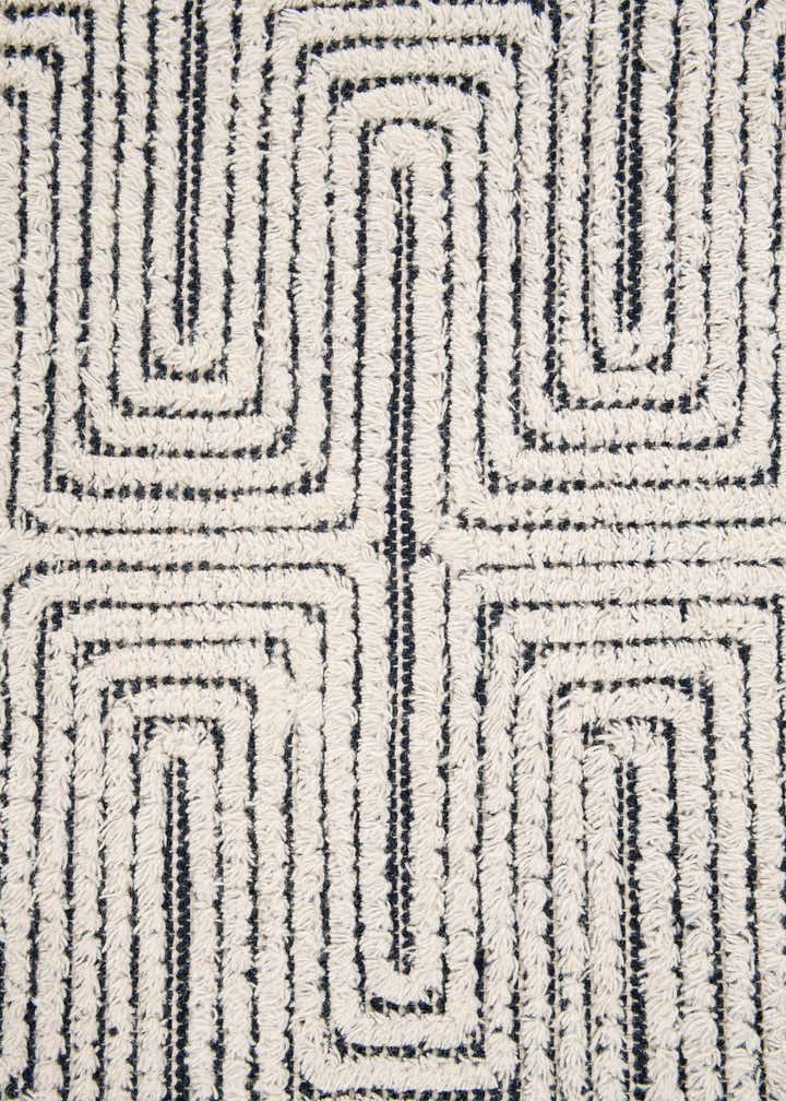 4' 1 x 6' 1 Hand Woven Rug