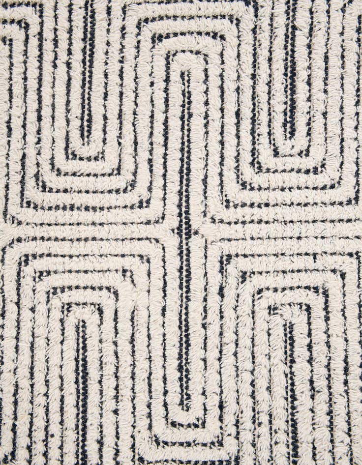Detail image of 4' 1 x 6' 1  Hand Woven  Rug