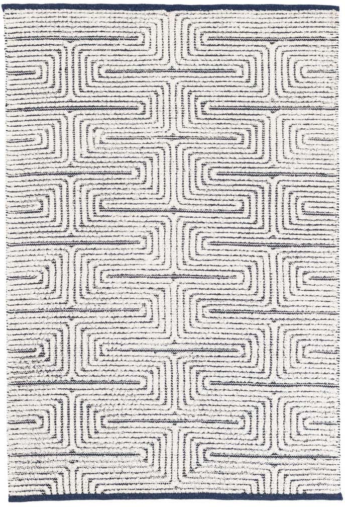 4' 1 x 6' 1 Hand Woven Rug