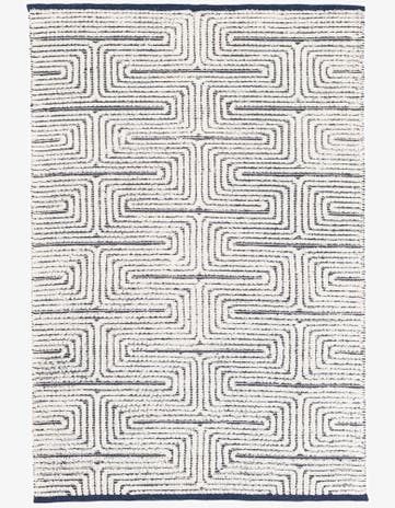 4' 1 x 6' 1 Hand Woven Rug