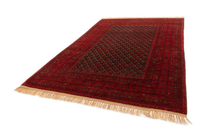 8' 3 x 11' 6 Hand Knotted Afghan Akhche Wool Rug
