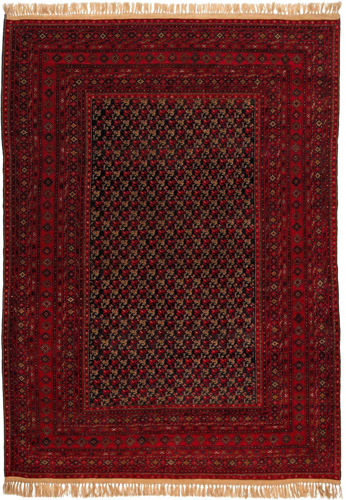 8' 3 x 11' 6 Hand Knotted Afghan Akhche Wool Rug
