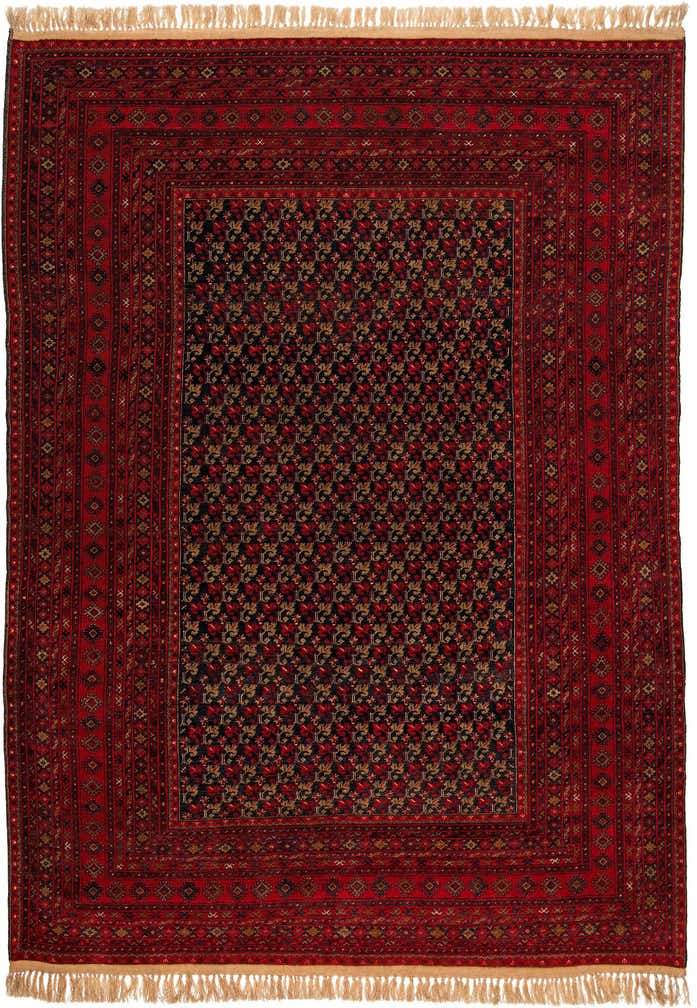 8' 3 x 11' 6 Hand Knotted Afghan Akhche Wool Rug