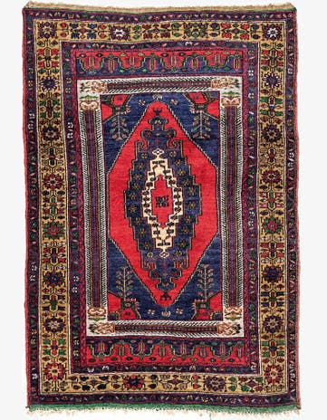4' 2 x 6' Hand Knotted Anatolian Wool Rug