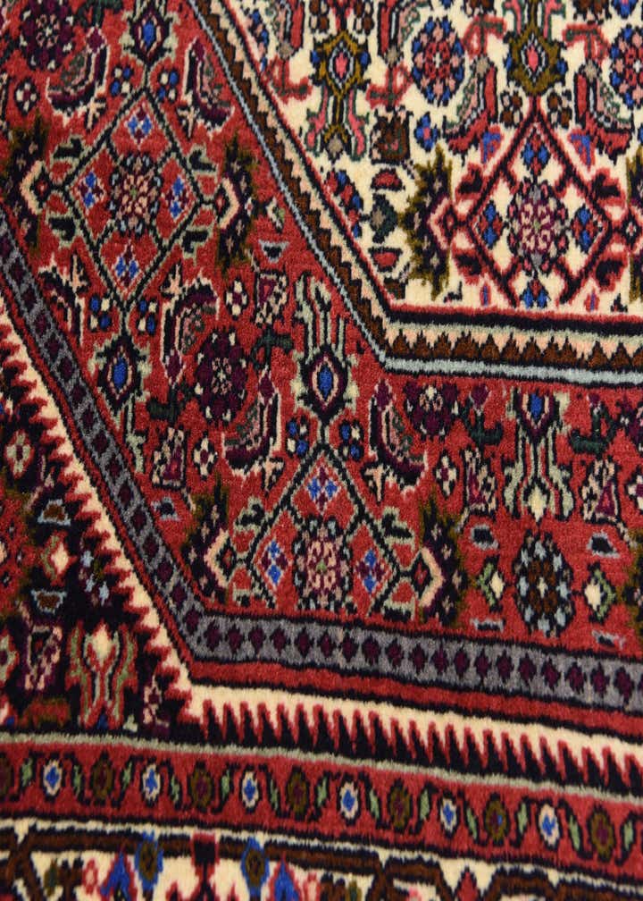 2' 4 x 3' 8 Hand Knotted Bidjar Persian Wool Rug