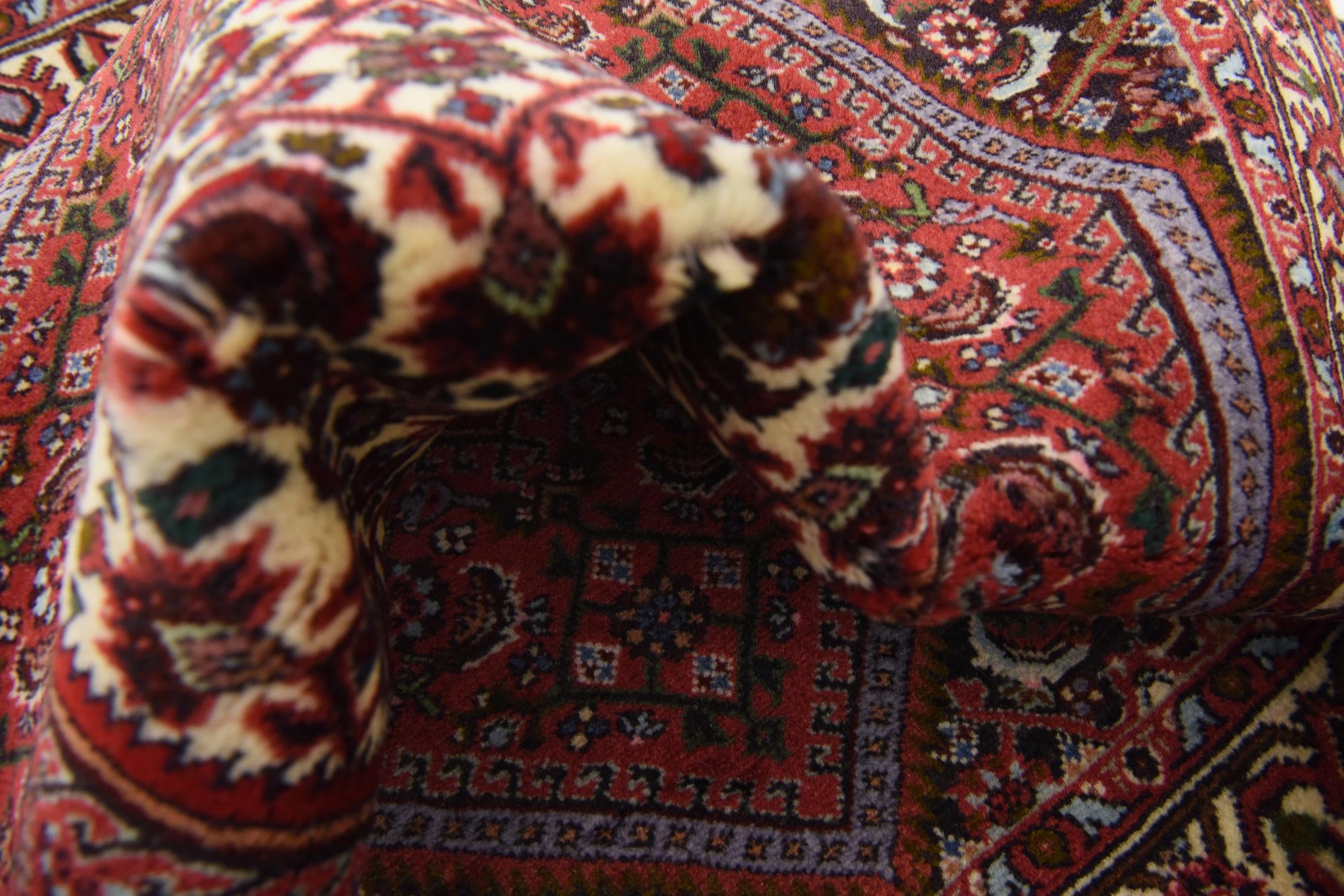 2' 5 x 3' 6 Hand Knotted Bidjar Persian Wool Rug