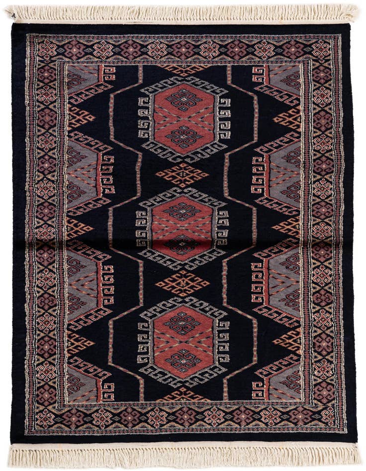 Detail image of 3' 2 x 5' 3 Hand Knotted Bokhara Oriental Rug