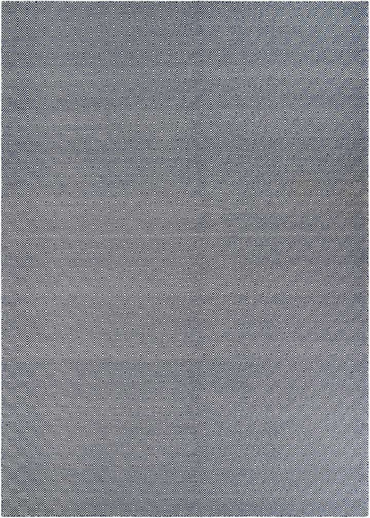 10' x 14' 1 Hand Woven Geo Trellis Flatweave Rug