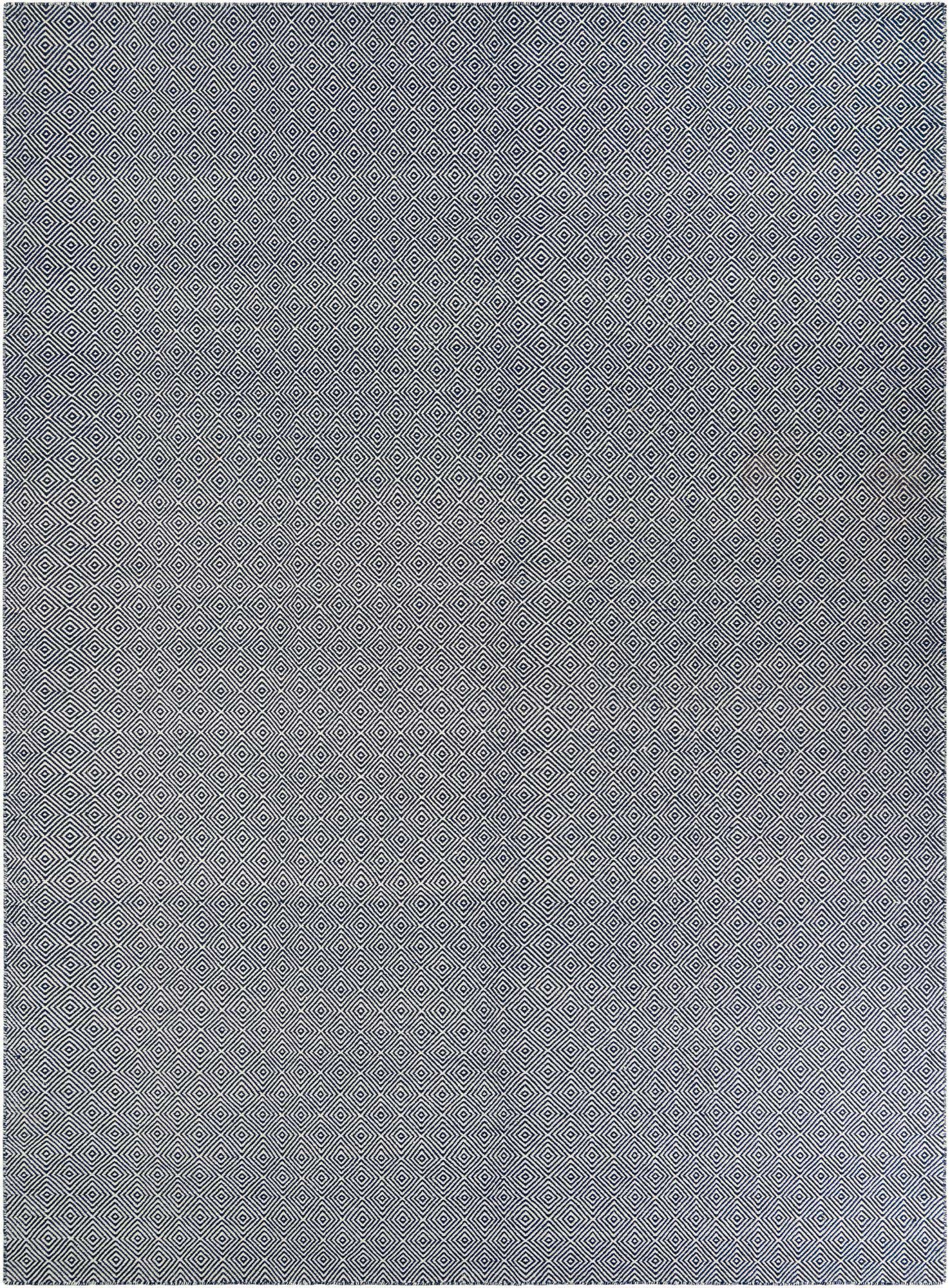 10' x 14' 1 Hand Woven Geo Trellis Flatweave Rug