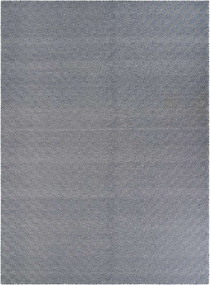 10' x 14' 1 Hand Woven Geo Trellis Flatweave Rug