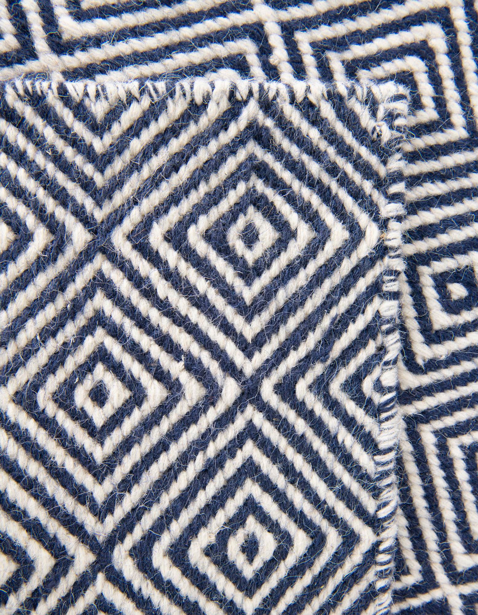 10' x 14' 1 Hand Woven Geo Trellis Flatweave Rug