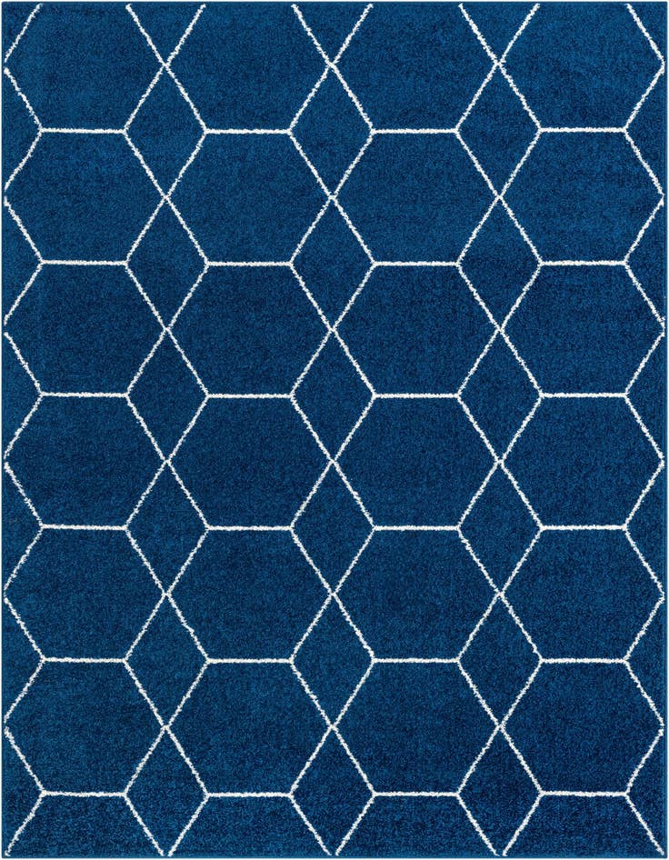 Detail image of 7' 10 x 11' Lattice Frieze Rug