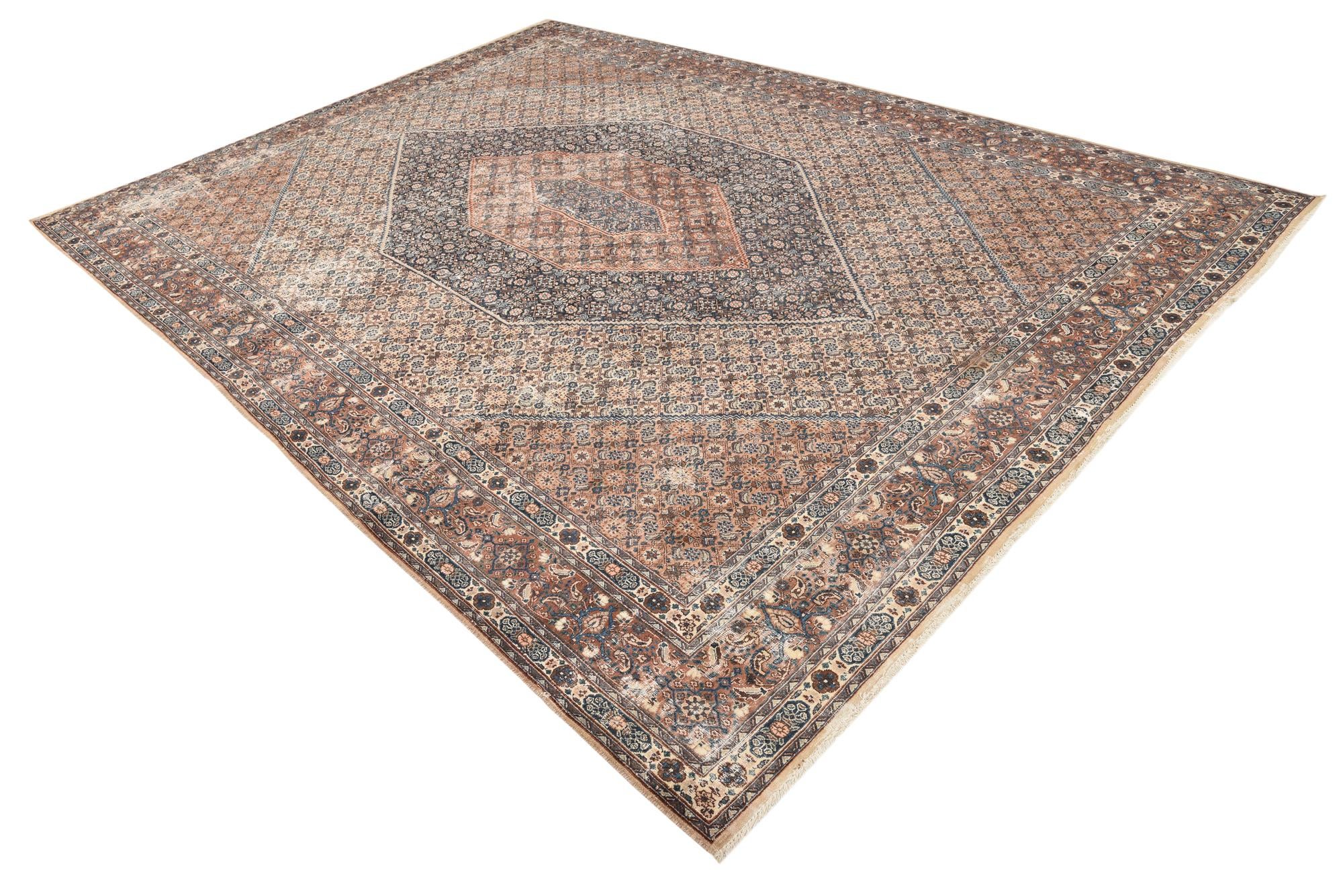 8' 8 x 12' 3 Hand Knotted Mood Persian Wool Rug