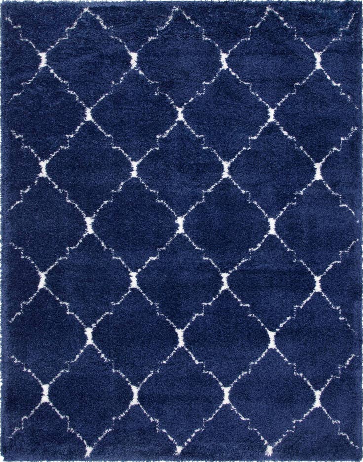 Detail image of 7' 10 x 10' Moroccan Shag Rug