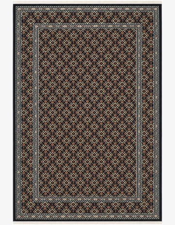 4' x 6' Nain Design Rug