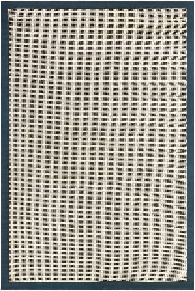 10' x 14' Easy-Clean Border Indoor / Outdoor Rug