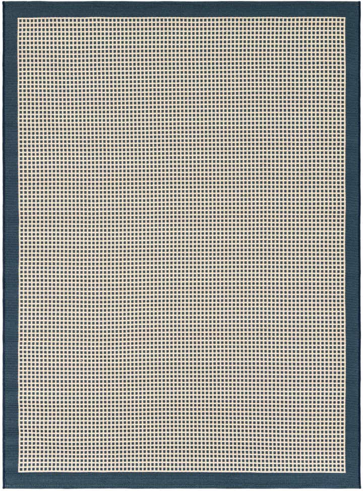 5' x 7' Easy-Clean Border Indoor / Outdoor Rug