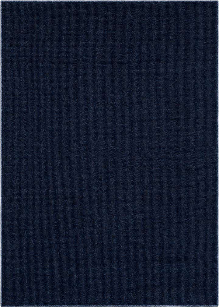 4' 1 x 6' 1 Easy-Clean Solid Indoor / Outdoor Rug