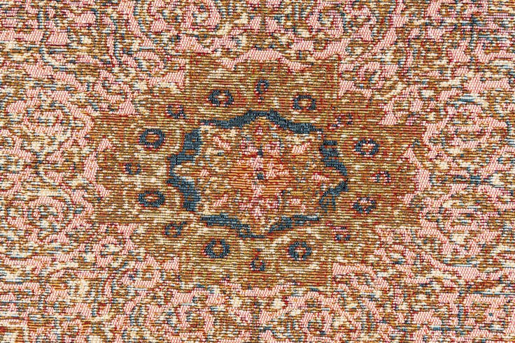 Detail image of 5' 3 x 7' 8 Easy-Clean Traditional Indoor / Outdoor Rug