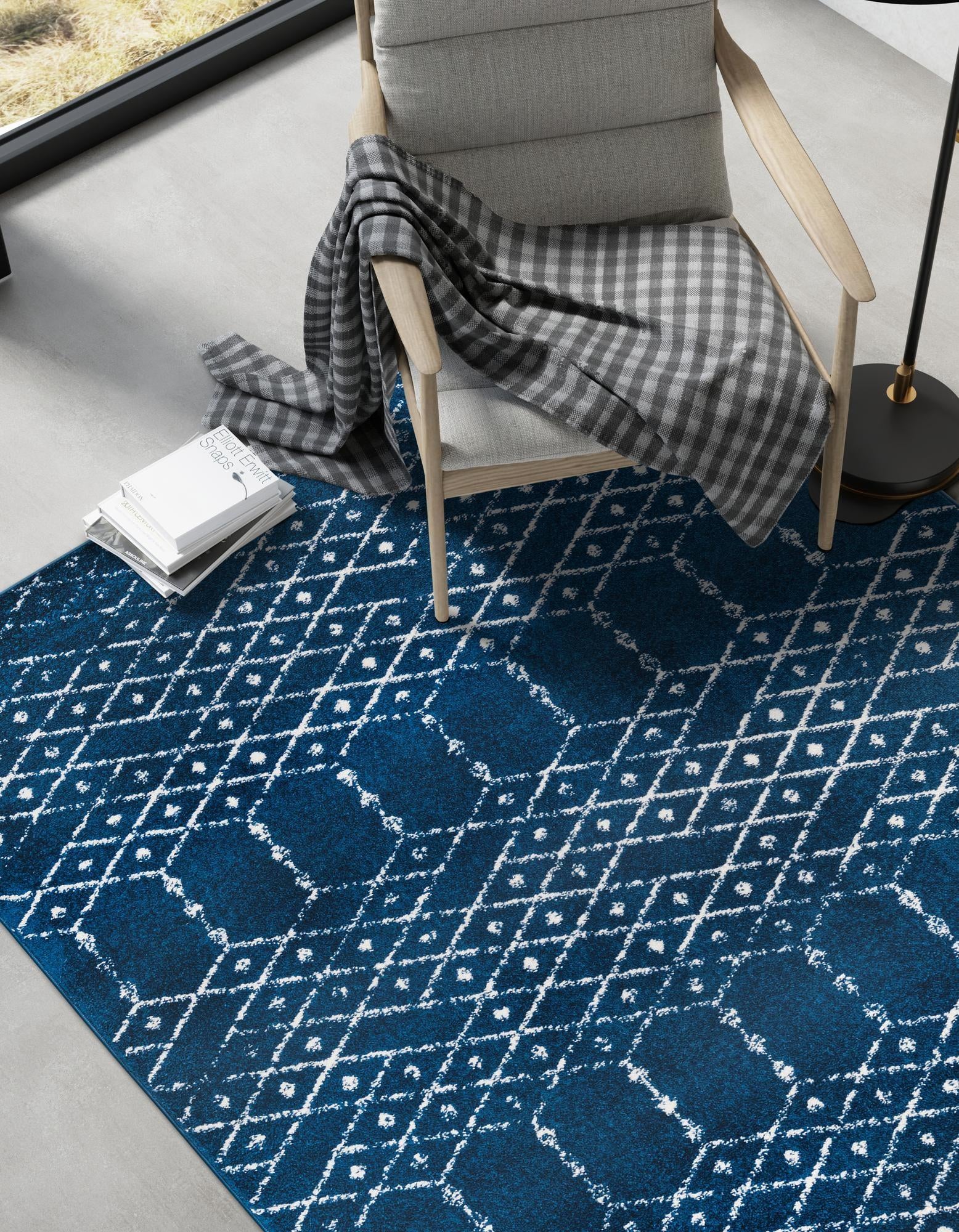 10' x 14' Paxon Trellis Rug