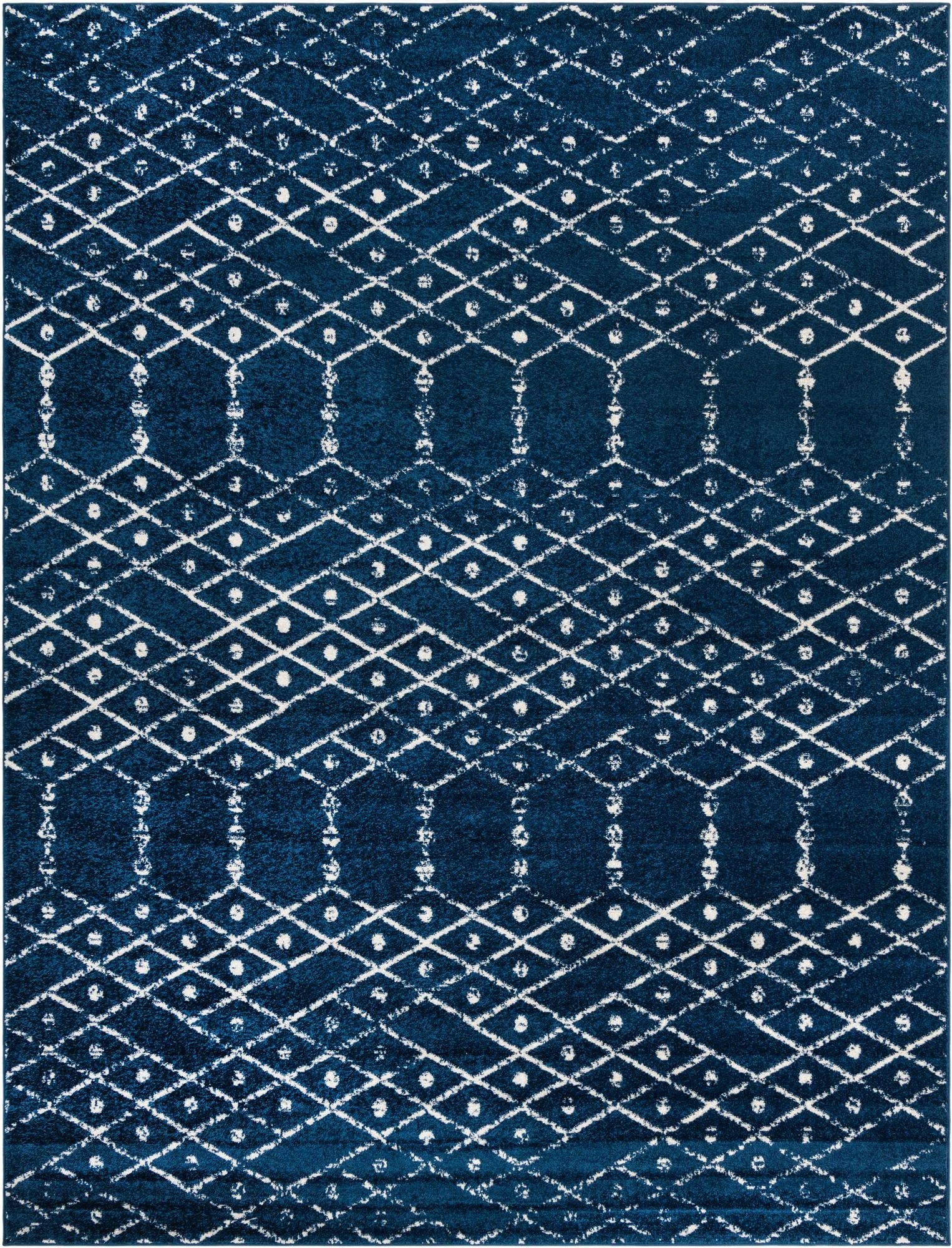 9' x 12' Paxon Trellis Rug