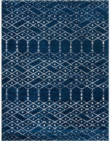 9' x 12' Paxon Trellis Rug