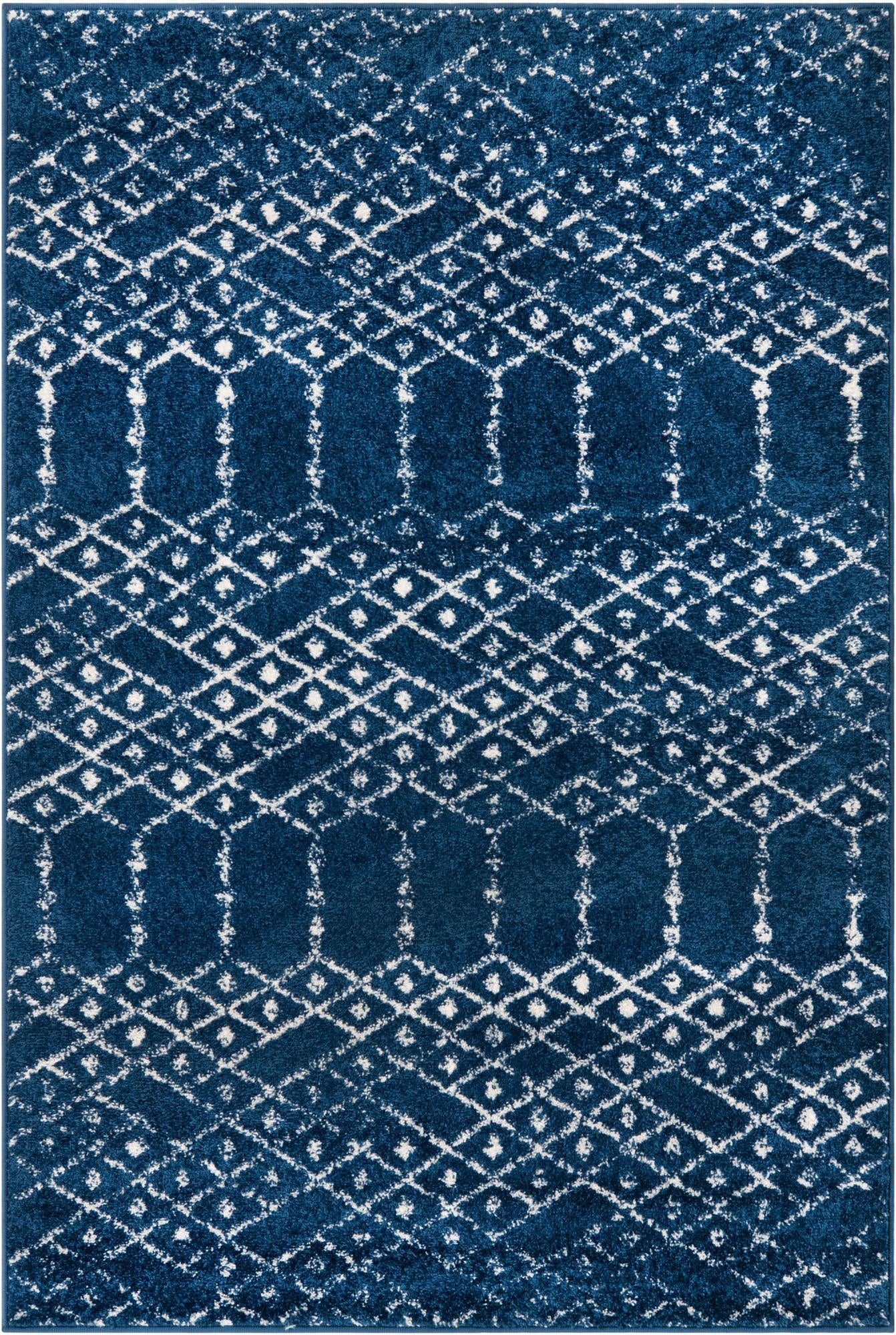 4' x 6' Paxon Trellis Rug