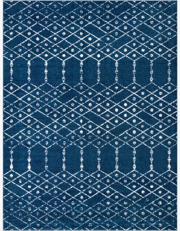 10' x 13' Paxon Trellis Rug